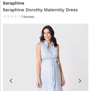 Seraphine chambray maternity dress - knee length